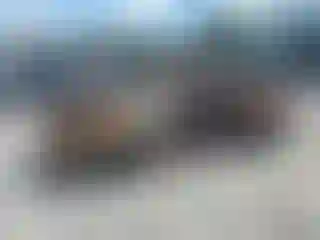 Vehicle Image- 2020 GMC Sierra