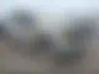 Vehicle Image- 2021 GMC Sierra