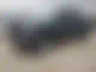Vehicle Image- 2021 GMC Sierra