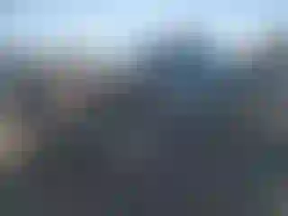 Vehicle Image- 2010 GMC Sierra