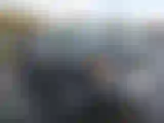 Vehicle Image- 2011 GMC Sierra