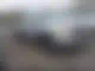 Vehicle Image- 2010 GMC Sierra