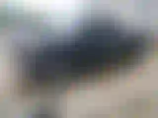 Vehicle Image- 2020 GMC Sierra