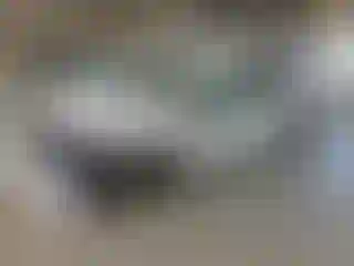 Vehicle Image- 2025 GMC Sierra