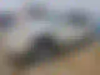 Vehicle Image- 2007 Cadillac Escalade