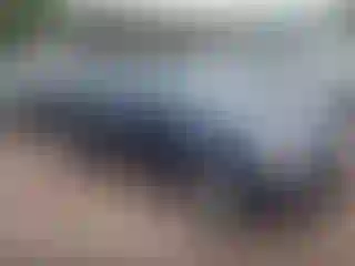 Vehicle Image- 2004 Cadillac SRX