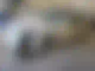 Vehicle Image- 2008 Cadillac SRX