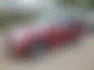 Vehicle Image- 2004 Cadillac SRX