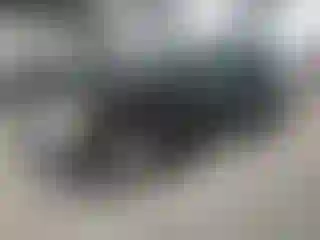 Vehicle Image- 2004 Cadillac SRX