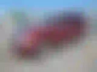 Vehicle Image- 2002 Cadillac Escalade