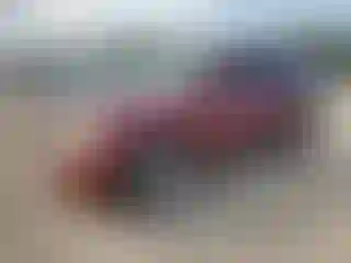 Vehicle Image- 2003 Cadillac Escalade