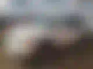 Vehicle Image- 2007 Cadillac Escalade