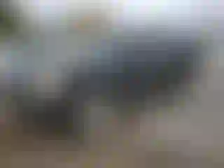 Vehicle Image- 2007 Cadillac Escalade