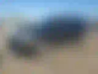 Vehicle Image- 2007 Cadillac Escalade