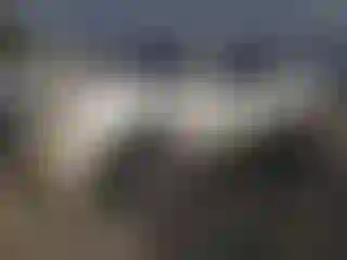 Vehicle Image- 2007 Cadillac Escalade