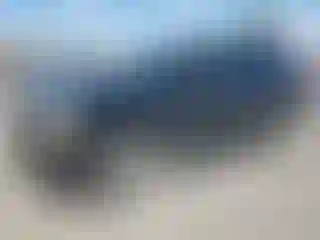 Vehicle Image- 2013 Cadillac Escalade