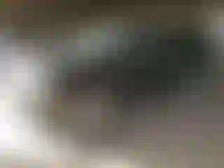 Vehicle Image- 2019 Cadillac Escalade