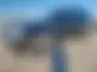 Vehicle Image- 2013 Cadillac Escalade