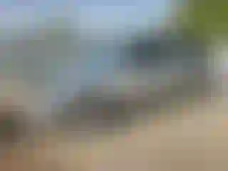 Vehicle Image- 2011 Cadillac Escalade