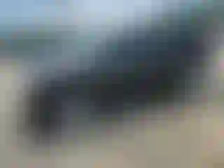 Vehicle Image- 2014 Cadillac Escalade