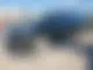 Vehicle Image- 2019 Cadillac Escalade