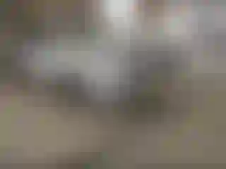 Vehicle Image- 2015 Cadillac Escalade