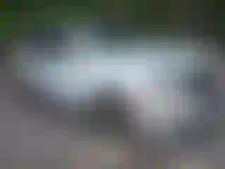 Vehicle Image- 2022 Cadillac Escalade