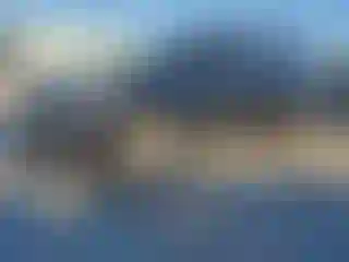 Vehicle Image- 2016 Cadillac Escalade