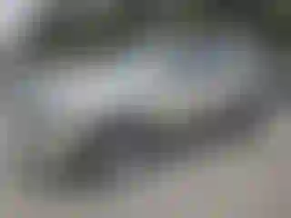 Vehicle Image- 2016 Cadillac Escalade