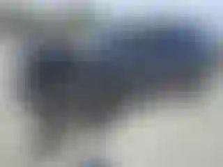 Vehicle Image- 2017 Cadillac Escalade