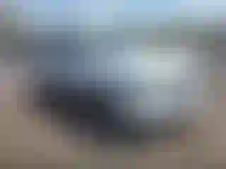 Vehicle Image- 2016 Cadillac Escalade