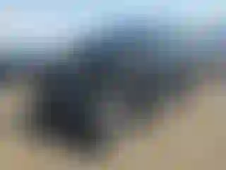 Vehicle Image- 2022 Cadillac Escalade