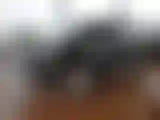 Vehicle Image- 2016 Cadillac Escalade