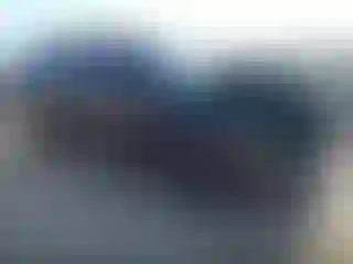 Vehicle Image- 2021 Cadillac Escalade