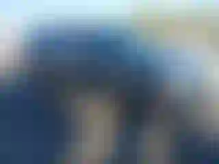 Vehicle Image- 2010 Cadillac Escalade