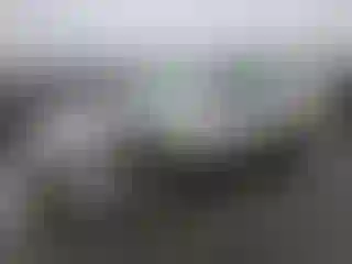 Vehicle Image- 1997 Honda Accord