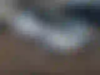 Vehicle Image- 1997 Honda Accord