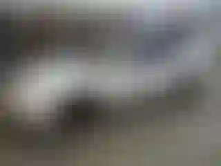 Vehicle Image- 1997 Honda Accord