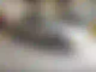 Vehicle Image- 1997 Honda Accord