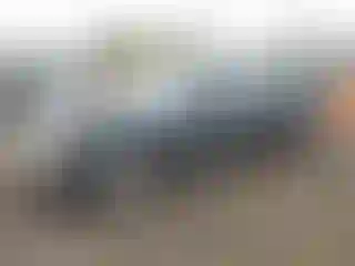 Vehicle Image- 1996 Honda Accord