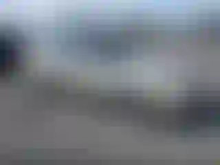 Vehicle Image- 1995 Honda Accord