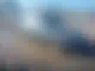 Vehicle Image- 1994 Honda Accord