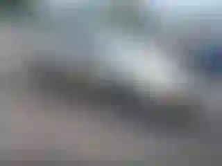 Vehicle Image- 1994 Honda Accord