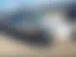 Vehicle Image- 1996 Honda Accord