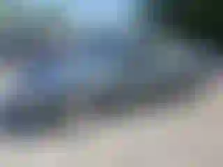 Vehicle Image- 1996 Honda Accord