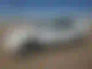 Vehicle Image- 1997 Honda Accord