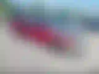 Vehicle Image- 1994 Honda Accord