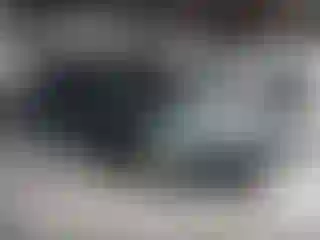 Vehicle Image- 1996 Honda Accord