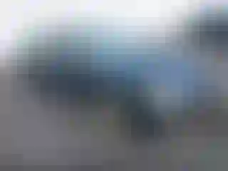 Vehicle Image- 1995 Honda Accord