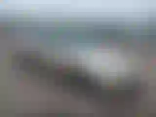 Vehicle Image- 2000 Honda Accord